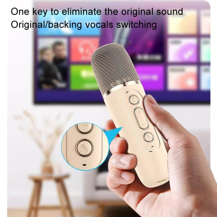 Outdoor Home Portable Wireless Karaoke Sound Cell Phone Integrated Microphone Smart Speaker, With Dual Mic Blue