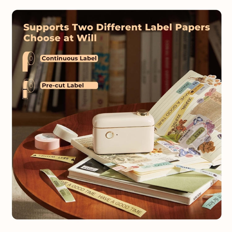 NIIMBOT Small Handheld Portable Smart Label Printer